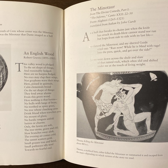 Imaginary Animals: Poetry and Art for Young People Edited by Charles Sullivan - Picture 7 of 13